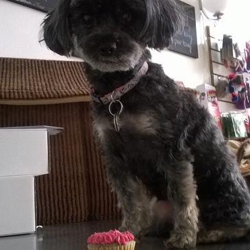 Zoe with a pupcake.