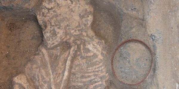 Ancient skeletal remains partially unearthed in excavation site.