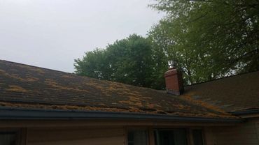 Does your roof look like this? If so, give RVA Gutter Cleaning a call today!