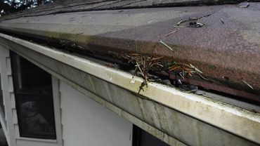 gutter cleaning guards Richmond Va gutter cleaning short pump va, glen allen va and lakeside va