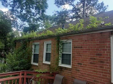 Gutter cleaning in Short Pump Va. Sometimes a little extra work is needed to get gutters cleaned!!!