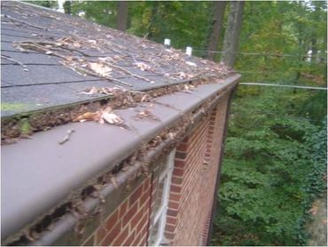Failed gutter guards in Tuckahoe, Va. These gutters and guards needed major cleaning!!!