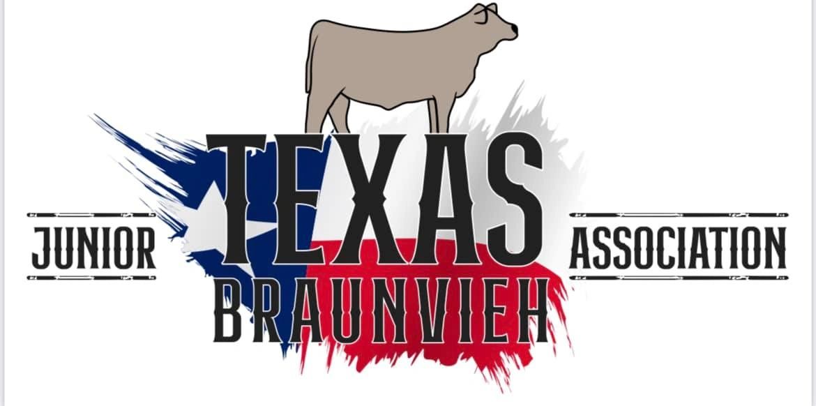 texas braunvieh junior assocation