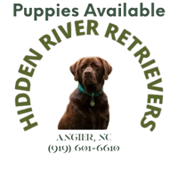 Hidden River Retrievers
(919) 601-6610

taking reservations for N