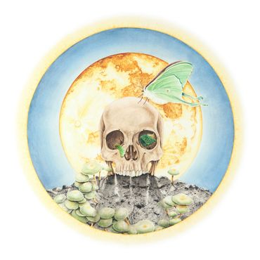 human skull, full moon, luna moth, caterpillar, ashes, mushrooms watercolor painting