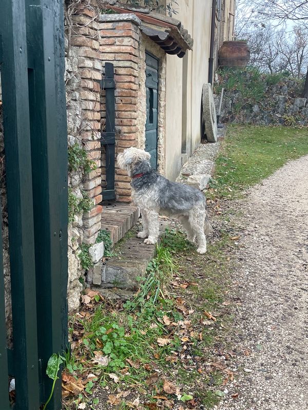 Roman countryside outings