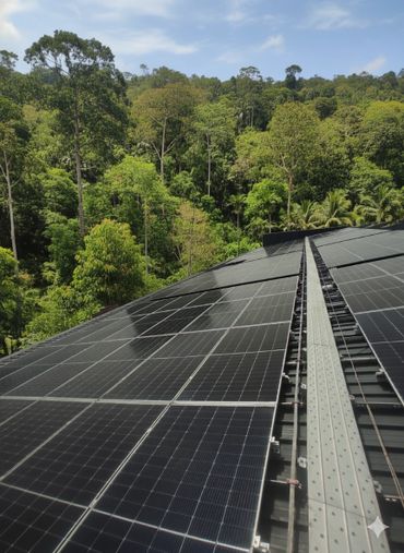 Solar panels installed on a rooftop near a lush green forest.