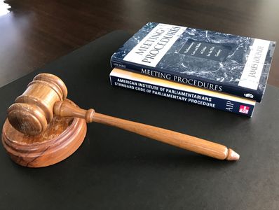 what does parliamentarian do?