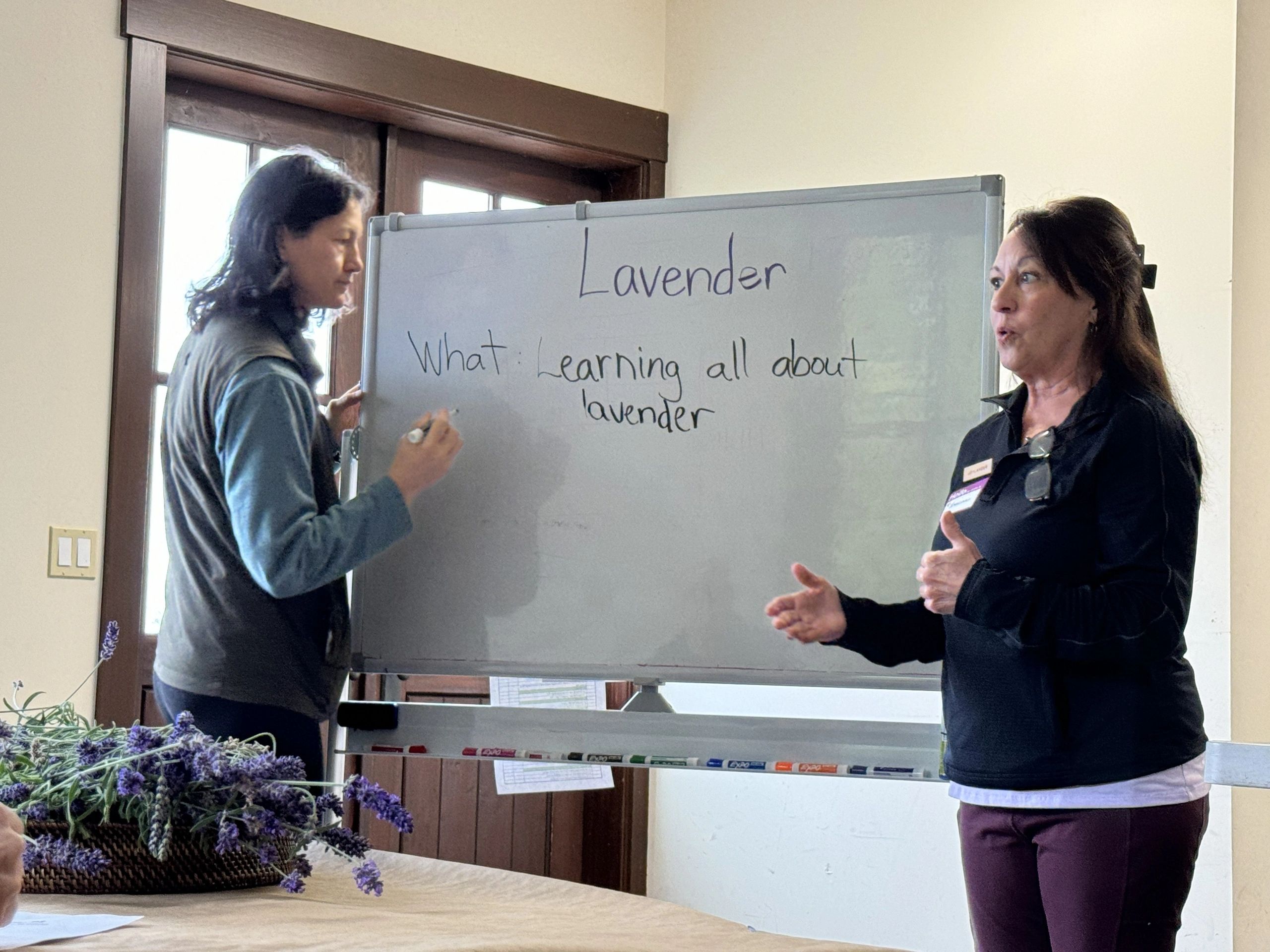 Two women discussing lavender topic with whiteboard and lavender flowers.