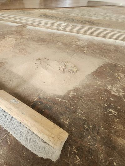 dust and pet fresh under carpet removal Kansas City