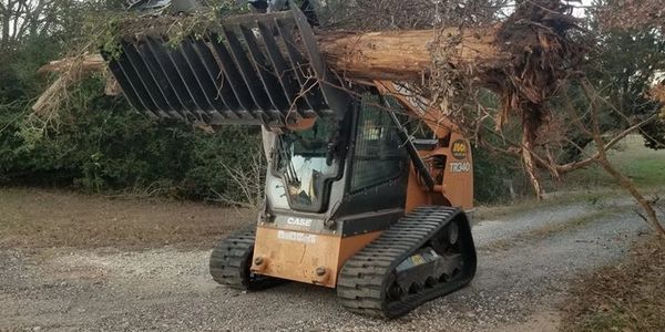 Skid steer tree removal, land clearing
