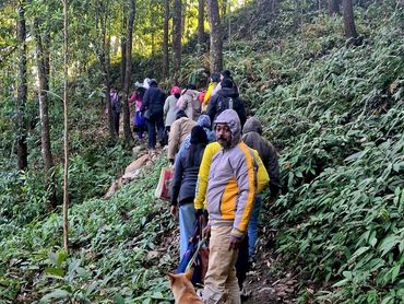 Group hiking on a forest trail with a dog leading the way.