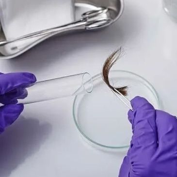 Scientist handling hair sample with tweezers and test tube in lab.