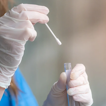 Gloved hands holding a swab and test tube for sample collection.