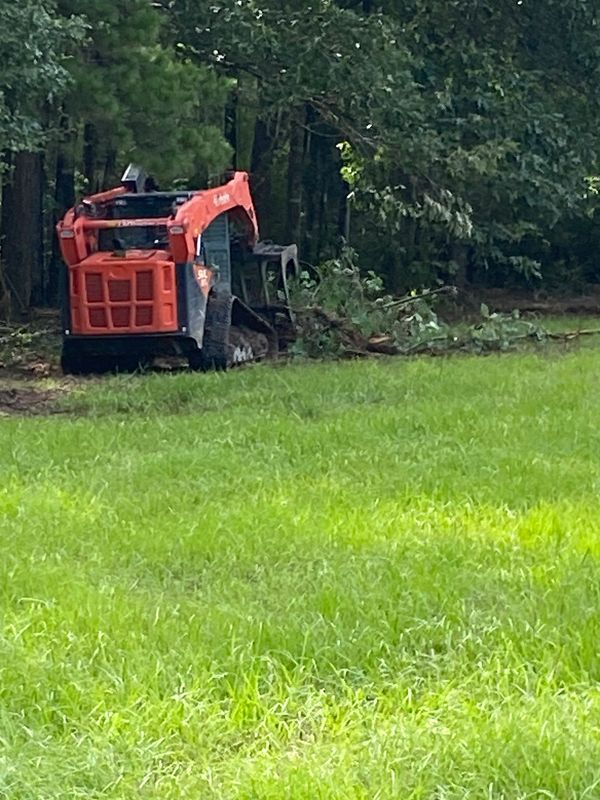 Orange skid steer loader clearing brush near trees.