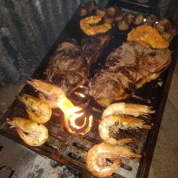 Compact Campfire Flamin Grill/ BBQ plate