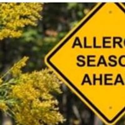 Pollen from oak trees and other plants in the Port Saint Lucie area can wreak havoc on sinuses.