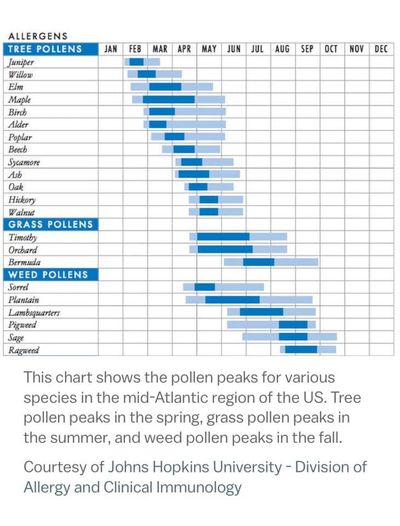 Pollen Calendar for Baltimore (not Port Saint Lucie)