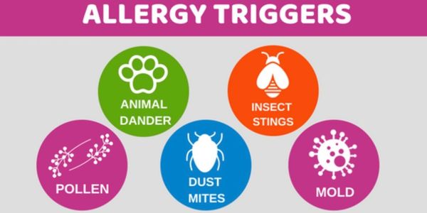 Allergy Triggers: Pets, Pollen, Venom, Mold and Dust mites can all cause allergic symptoms