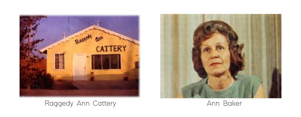 Raggedy Ann Cattery and Ann Baker, founder of the Ragdoll breed