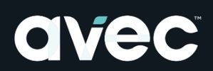 AVEC Global provides a value-driven alternative to traditional technology consulting.