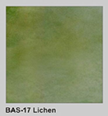BAS-17 Lichen