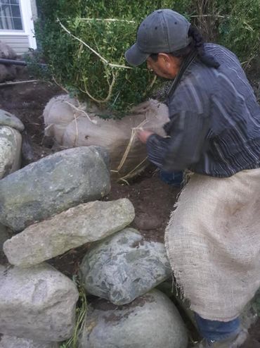 Tree planting and retaining walls