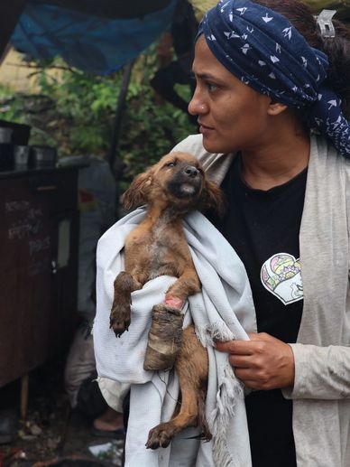 Our team member carrying a severely injured puppy rescued in a dire state.