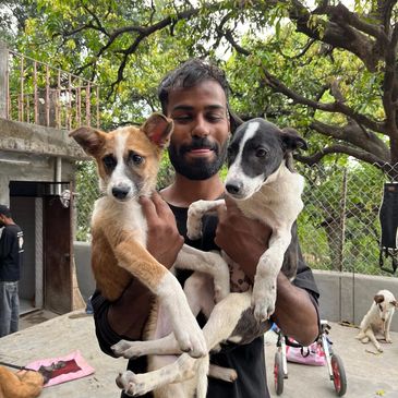 Our team member holding two adorable rescue puppies in his arms.