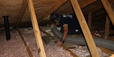 Insulation Removal