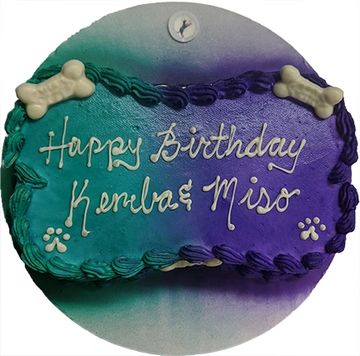 Dog birthday cake for dog birthday party