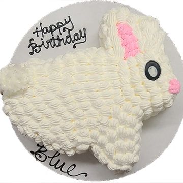 Bunny cake for dog birthday party