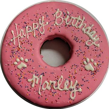 Donut Cake for dog birthday party