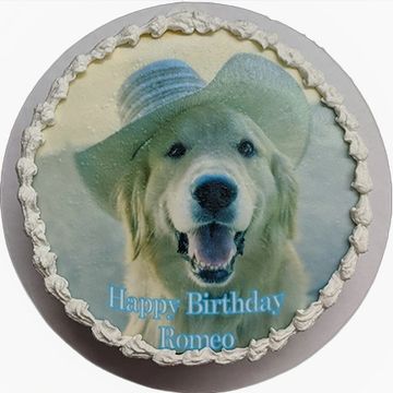 Photo cake dog birthday cake for dog birthday party