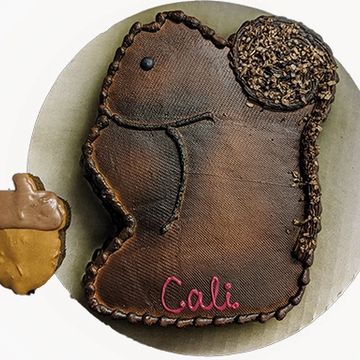 Squirrel cake for dog birthday party