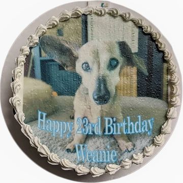 Photo cake dog birthday cake for dog birthday party