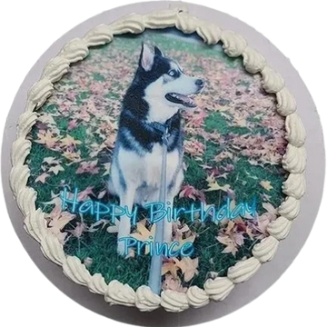 Photo Cake for dog birthday for dog birthday party