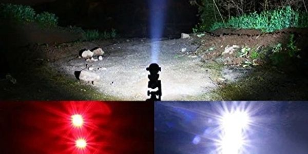 Flashlight beam illuminating a dark outdoor path at night.
