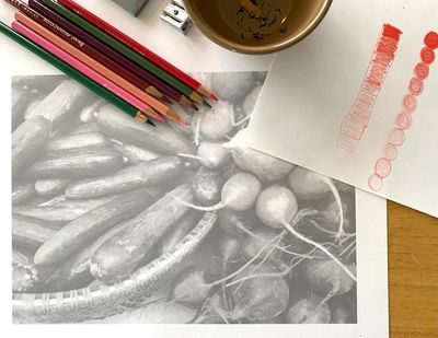 A page from the photographic coloring book next to colored pencils and a paper with color values.