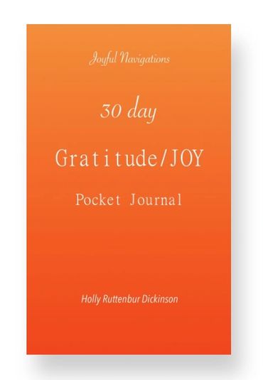 JOYFUL NAVIGATIONS Toolkit Tool. 30 day Gratitude/JOY Journal