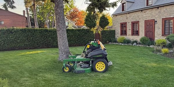 A green lawn mower parked beside a tree on a neatly trimmed lawn.