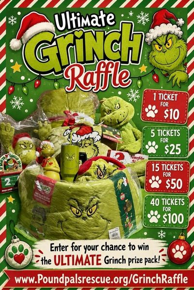 Advertisement for a Grinch-themed raffle with prize packs.