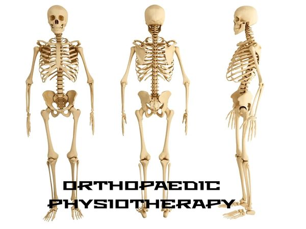 Three views of a human skeleton with 'Orthopaedic Physiotherapy' text.