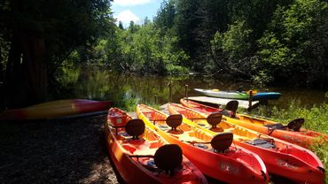 Logan Creek wetlands kayak tour rentals 