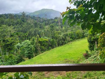 View from the tree house at Vanasthala, Coorg