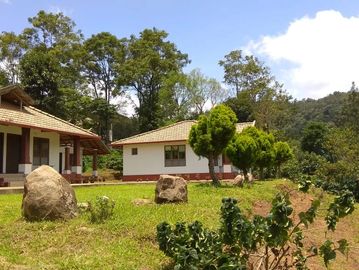 Cottage stays amidst Coorg wilderness