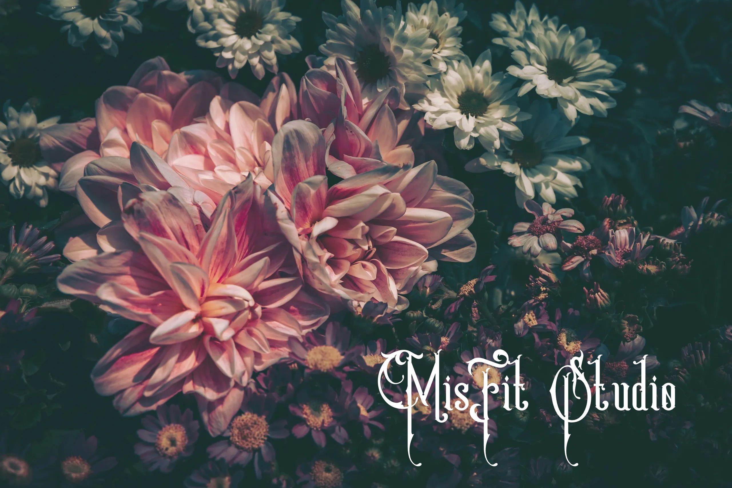 somatic wellness