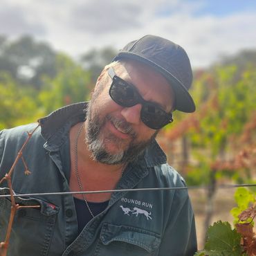 Hadyn picking grapes during harvest at Hounds Run Vineyard