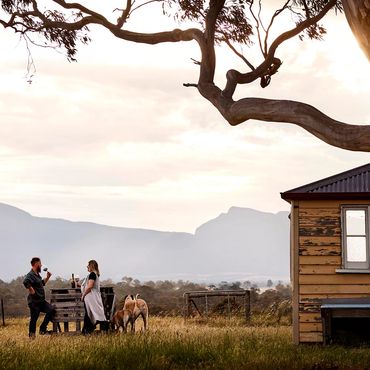 Hadyn and Lucy Black at the bar with their hounds Hunter & Paddy, enjoying a glass of wine.