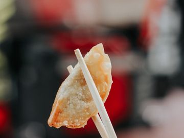 Crispy Vegetable Pot Stickers